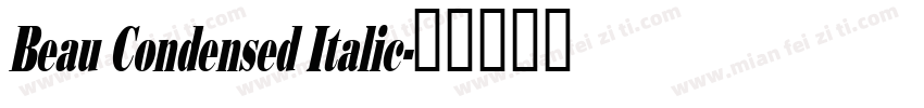 Beau Condensed Italic字体转换